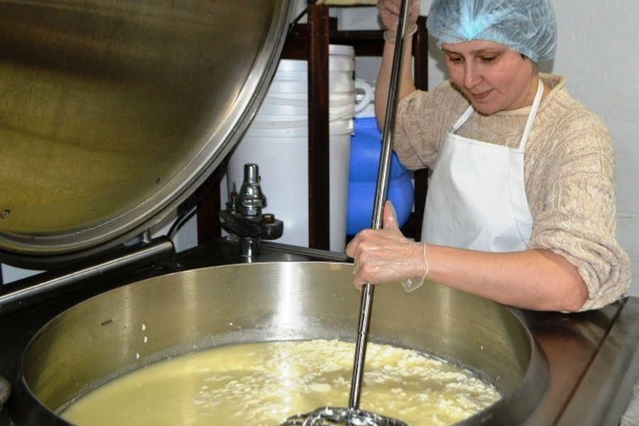 Процесс варки сыра