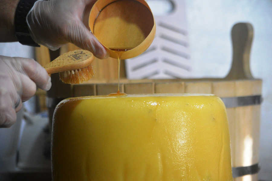 Сыр "Монтазио"