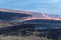 Пожар на площади 100 га тушили лесопожарные рядом с Хакасией