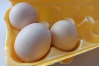 Дешевле не будет? На птицефабрике Хакасии прокомментировали цены на яйца. Видео