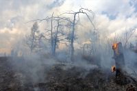 Два лесных пожара тушат в Хакасии