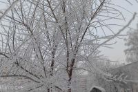Суровый февраль: температура ниже климатической нормы установилась в Хакасии и на юге Красноярского края