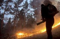 Низовой лесной пожар потушили в Хакасии