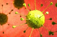 Может ли вирус папилломы человека вызвать онкологию?