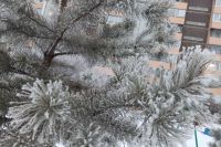 До зимы 20 дней, а мороз испытывает на прочность жителей Хакасии и Красноярского края