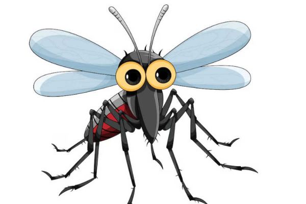 Генетически модифицированные комары кусаться не будут?