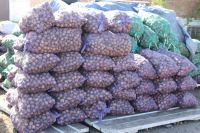Шесть осужденных из колонии Хакасии собрали более 500 тонн картофеля