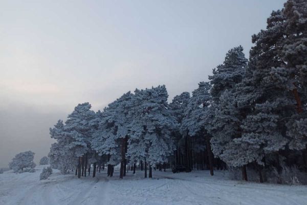 Морозы ударят в Хакасии и на юге Красноярского края