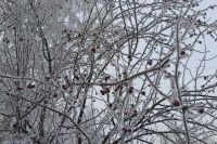 Температура опустится до критических отметок в Хакасии и на юге Красноярского края