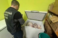 По факту поставки в детсад мяса с зеленью и запахом возбудили уголовное дело в Минусинске