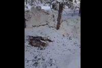 СМИ опубликовало видео с места гибели снегоходчиков в горах Хакасии