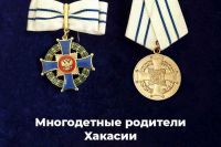 Кто может получить медаль за воспитание детей и 200 или 500 тысяч рублей?