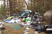 Гору мусора обнаружили на месте детского лагеря в Потрошиловском бору