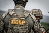 Спецназ задержал жителя Хакасии, подозреваемого в незаконной рубке сосен в крупном размере