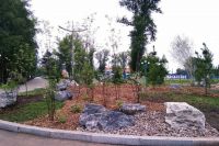Зелёный фонд обновляют сразу в двух крупных парках столицы Хакасии