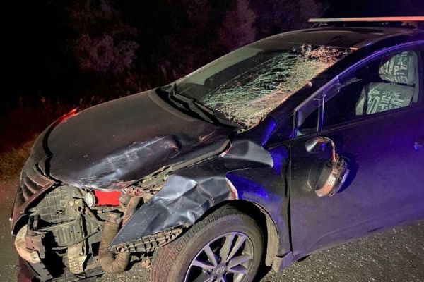 Под колесами Toyota Avensis погиб житель Хакасии