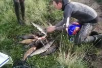 К 160 часам работ приговорили браконьеров из Хакасии за подводную охоту на озере Иткуль