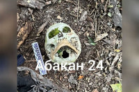 Жуткая находка: рядом с парком в Абакане нашли останки человека