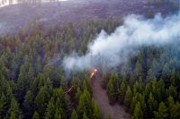 На выходных в Хакасии горел лес
