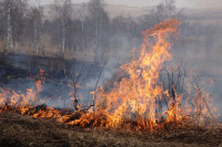 Пожароопасный период наступил на степных участках заповедника в Хакасии