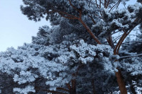 Морозы вернутся в Хакасию и на юг Красноярского края. Прогноз на рабочую неделю