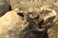 Рука вылезла: древнее кладбище нашли на месте строительства многоэтажки в Абакане