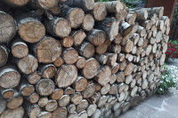 В Хакасии массово жалуются в ОНФ на невозможность получить 100 кубов бесплатного леса