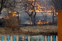 Особый противопожарный режим начал действовать в Красноярском крае