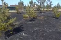 Парк Победы горел в Хакасии
