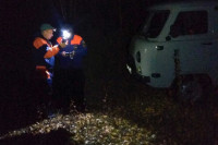 Спасатели Хакасии всю ночь искали упавшего с дерева охотника