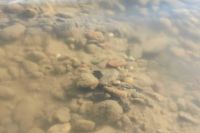 Кишечную палочку обнаружили в озере Хакасии