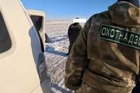 В Хакасии задержали сирийцев, искавших краснокнижных соколов. Видео