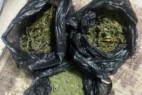 В бане жителя Хакасии обнаружили марихуану. Мужчине грозит до 10 лет