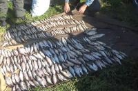 Расследование уголовного дела о незаконной добыче более 360 экземпляров рыб завершили в Хакасии