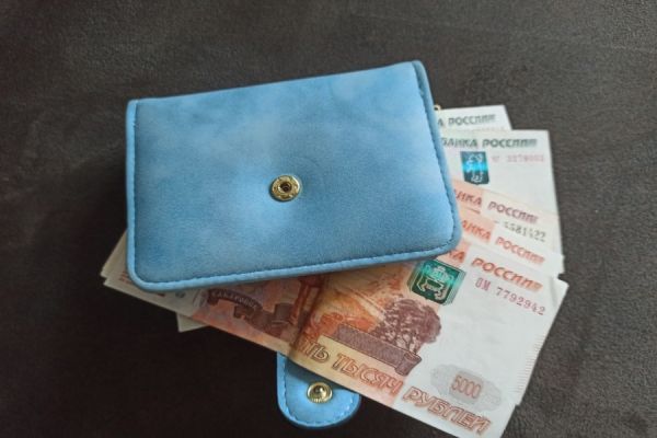 Пропавший кошелек ищут в Черногорске