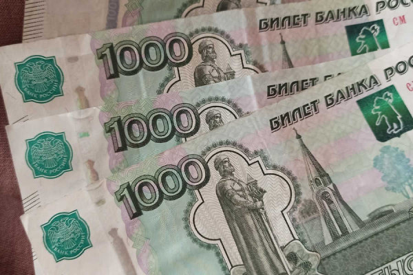 В Хакасии увеличилась ежемесячная выплата из материнского капитала