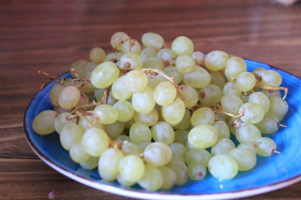 В Хакасии выбрали самый вкусный виноград