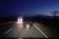Водитель &quot;Lexus&quot; насмерть сбила мужчину на трассе в Хакасии. Видео