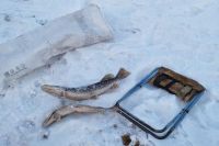 Рыбаки выловили щук в заповедном озере Хакасии