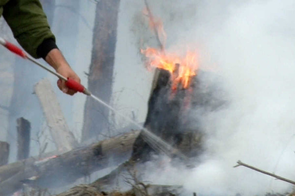 Пожароопасный сезон официально начался в Хакасии. В Минлесе рассказали о мерах