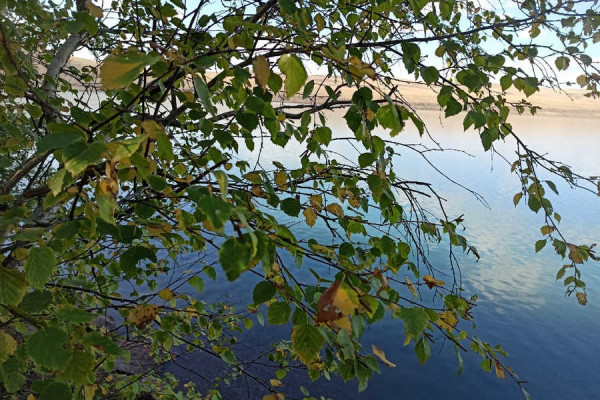 Жизнь словно замерла: фото осеннего, опустевшего озера Беле (Хакасия)