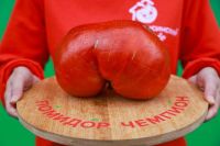 День Минусинского помидора признан лучшим турсобытием в гибридном формате