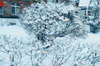 Синоптик рассказала, как долго будет идти снег в Хакасии