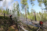 Леса горят в Хакасии