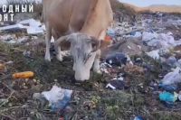 Огромная достопримечательность Хакасии: тонны мусора при въезде в село