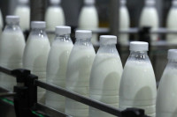 В Хакасии предприниматель отправила на переработку больше тонны просроченного молока