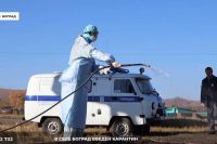Карантин объявлен в Хакасии из-за заразной инфекции у животных. Выставлены КПП