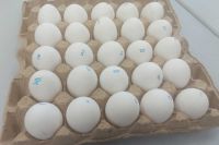 Сколько яиц можно съесть с пользой для здоровья на Пасху?