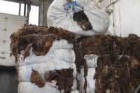 С 70-х годов в Хакасии работает одно из немногих предприятий по переработке шерсти