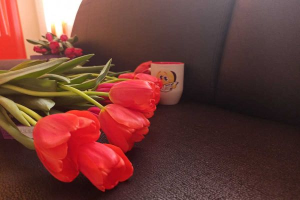Чтобы не получить штраф, продавцы цветов перед 8 марта должны подать заявления в мэрию столицы Хакасии